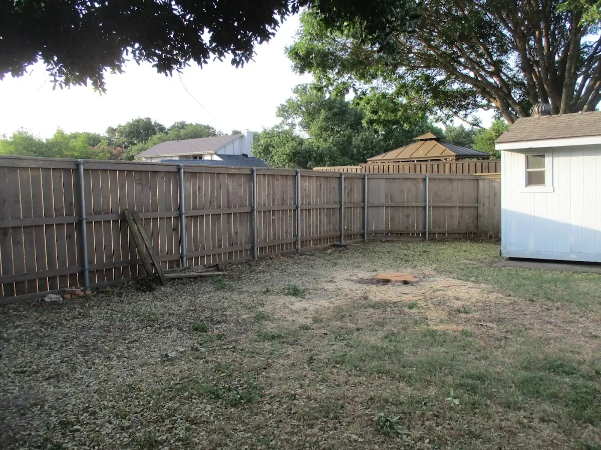 Cleared yard after professional tree removal in Brady